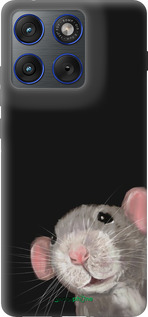 Силиконовый чехол The Peeking Rat для Motorola EDGE 70 - 6442u-4219 изображение 