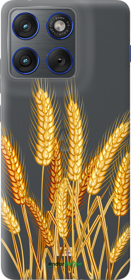 Силіконовий чехол Колоски пшениці для Motorola EDGE 70 - 5866u-4219 изображение 
