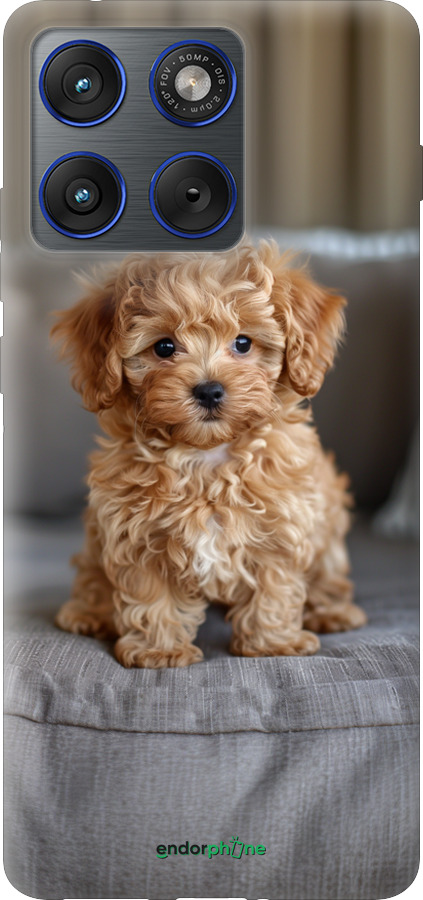 Силиконовый чехол Mini-maltipoo для Motorola EDGE 70 - 6158u-4219 изображение 