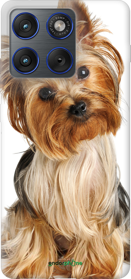 Силіконовий чехол Йоркширський тер'єр із хвостиком для Motorola EDGE 70 - 930u-4219 изображение 