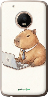 2D пластиковый чехол Funny Capybara CEO Working для Motorola Moto G5 PLUS - 6777t-1038 изображение 