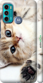 3D пластиковый матовый чехол Котик для Motorola G60 - 6024m-2467 изображение 