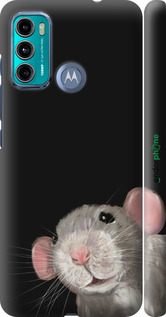 3D пластиковий матовий чехол The Peeking Rat для Motorola G60 - 6442m-2467 изображение 