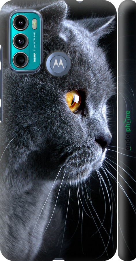 

3D пластиковий матовий чохол "Гарний кіт" для Motorola G60, Чорний