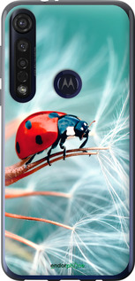 Силиконовый чехол Божья коровка для Motorola G8 Plus - 6049u-1837 изображение 