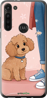 Силіконовий чехол Мальтипу 3 для Motorola G8 Power - 6706u-1940 изображение 