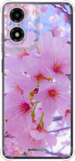 Силикон с усиленными углами чехол Сакура для Motorola Moto G24 - 6029sp-3659 изображение 