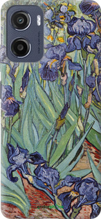 Силиконовый чехол Винсент Ван Гог. Ирисы для Motorola Moto G05 - 161u-3949 изображение 
