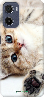 Силиконовый чехол Котик для Motorola Moto E15 - 6024u-4147 изображение 