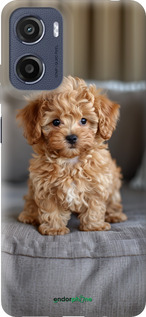 Силиконовый чехол Mini-maltipoo для Motorola Moto E15 - 6158u-4147 изображение 