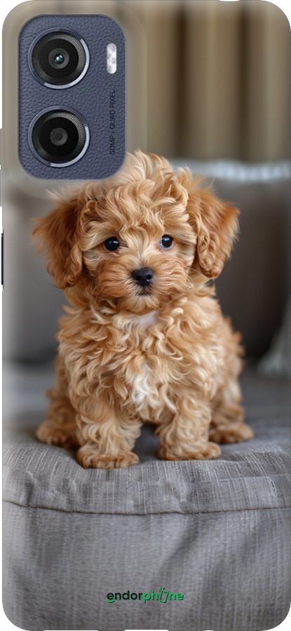 Силиконовый чехол Mini-maltipoo для Motorola Moto E15 - 6158u-4147 изображение 