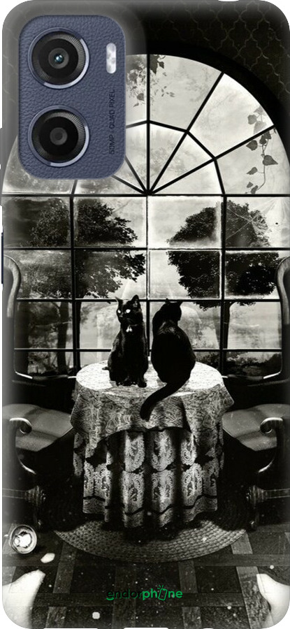 Силиконовый чехол Череп и коты для Motorola Moto E15 - 6432u-4147 изображение 