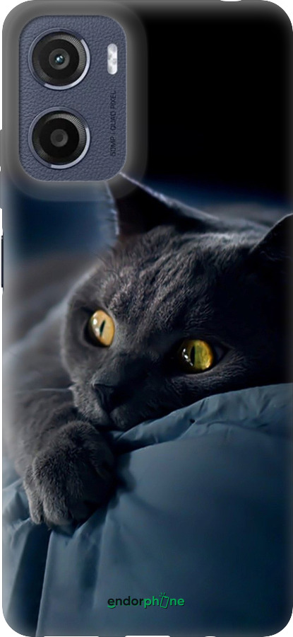 Силіконовий чехол Димчастий кіт для Motorola Moto G05 - 825u-3949 изображение 