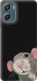 Силиконовый чехол The Peeking Rat для Motorola Moto G06 - 6442u-4187 изображение 