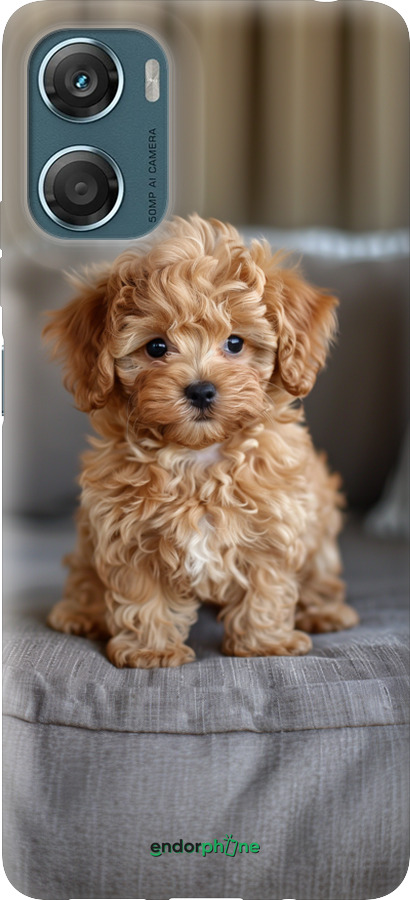 Силиконовый чехол Mini-maltipoo для Motorola Moto G06 - 6158u-4187 изображение 