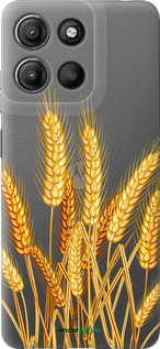 Силіконовий чехол Колоски пшениці для Motorola Moto G15 Power - 5866u-4044 изображение 
