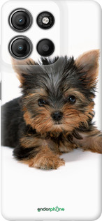 Силиконовый чехол Щенок йоркширского терьера для Motorola Moto G15 Power - 931u-4044 изображение 