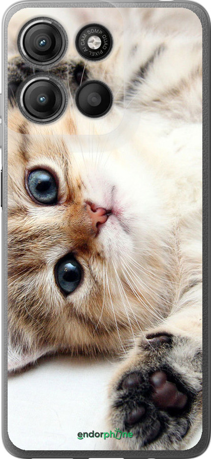 Силиконовый чехол Котик для Motorola Moto G15 Power - 6024u-4044 изображение 