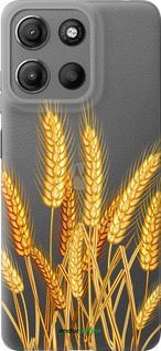 Силиконовый чехол Колоски пшеници для Motorola Moto G15 - 5866u-3948 изображение 