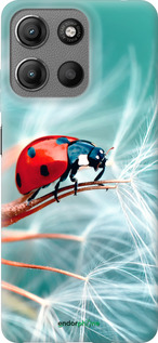 Силиконовый чехол Божья коровка для Motorola Moto G15 - 6049u-3948 изображение 