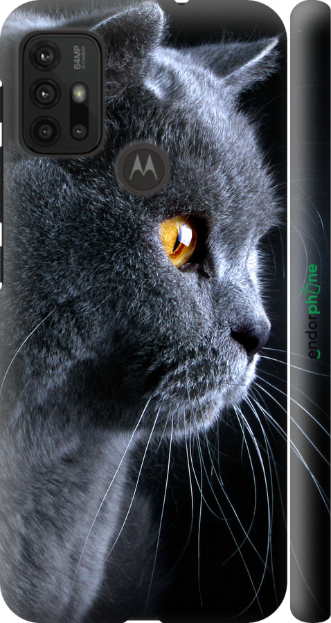 

3D пластиковий матовий чохол "Гарний кіт" для Motorola Moto G30, Чорний