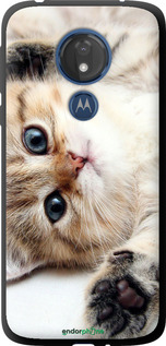 TPU чехол Котик для Motorola Moto G7 Power - 6024b-1657 изображение 