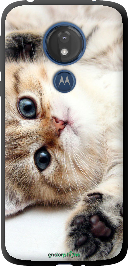 TPU чехол Котик для Motorola Moto G7 Power - 6024b-1657 изображение 