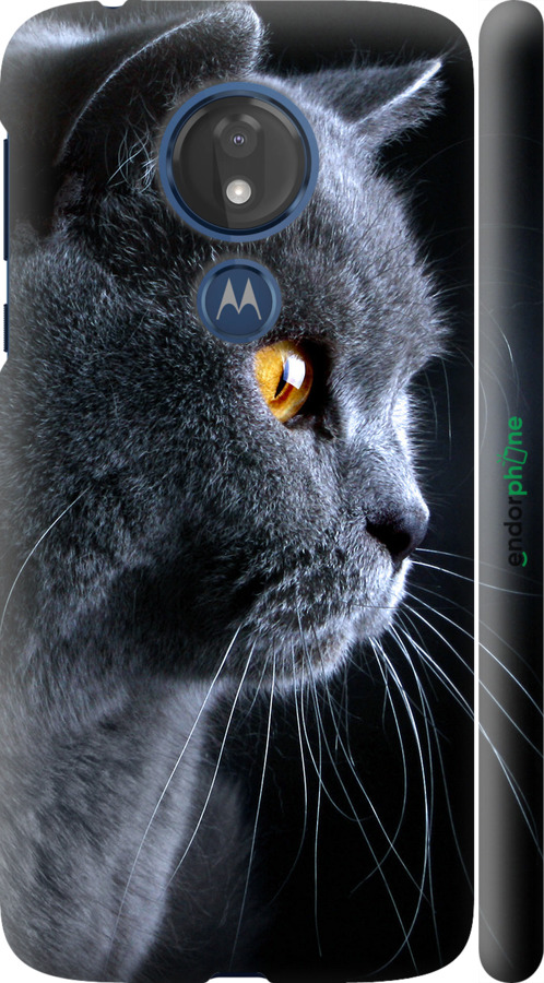 

3D пластиковий матовий чохол "Гарний кіт" для Motorola Moto G7 Power, Чорний