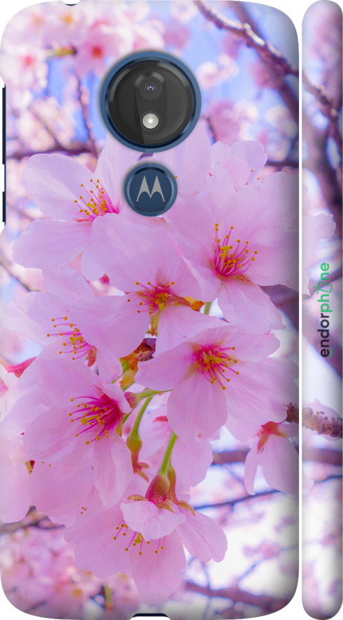 3D пластиковый матовый чехол Сакура для Motorola Moto G7 Power - 6029m-1657 изображение 