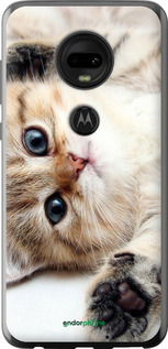 Силіконовий чехол Котик для Motorola Moto G7 - 6024u-1614 изображение 
