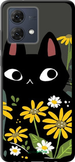TPU чехол Черный кот с цветами для Motorola Moto G84 - 6448b-3344 изображение 