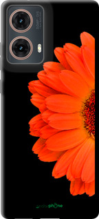 TPU чехол Гербера 1 для Motorola Moto G85 5G - 4534b-3780 изображение 