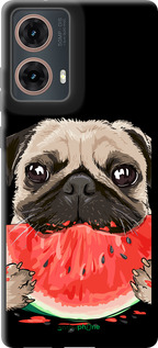 TPU чехол Мопс и арбуз для Motorola Moto G85 5G - 4665b-3780 изображение 