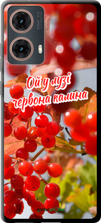 TPU чехол Калина для Motorola Moto G85 5G - 5454b-3780 изображение 