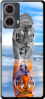 TPU чехол Тигр для Motorola Moto G85 5G - 6016b-3780 изображение 