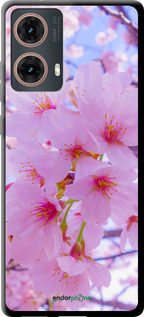TPU чехол Сакура для Motorola Moto G85 5G - 6029b-3780 изображение 