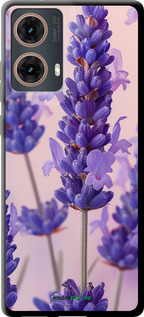 TPU чехол Лаванда для Motorola Moto G85 5G - 6037b-3780 изображение 