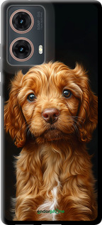 TPU чехол Cocker spaniel на черном фоне для Motorola Moto G85 5G - 6137b-3780 изображение 