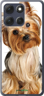 Силиконовый чехол Йоркширский терьер с хвостиком для Motorola Moto G86 - 930u-4115 изображение 