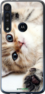 Силиконовый чехол Котик для Motorola One Macro - 6024u-1812 изображение 