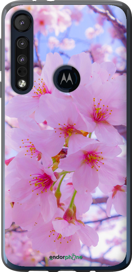 Силиконовый чехол Сакура для Motorola One Macro - 6029u-1812 изображение 
