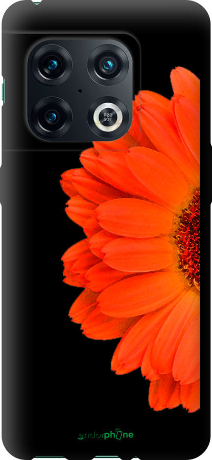 TPU чехол Гербера 1 для OnePlus 10 Pro - 4534b-2588 изображение 