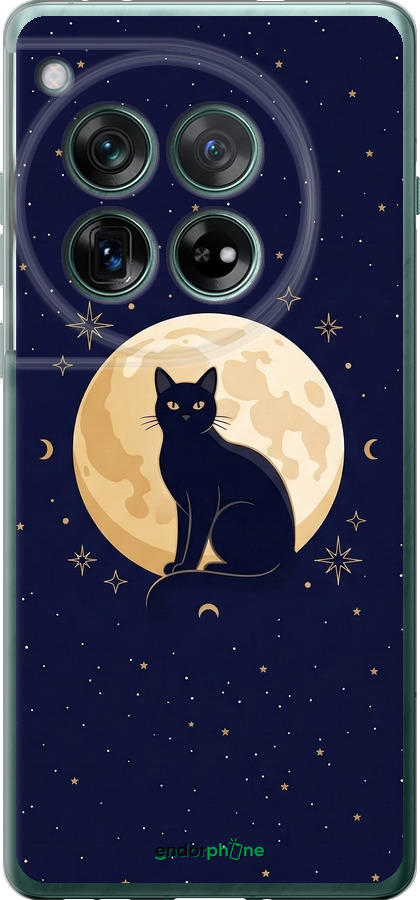 Силиконовый чехол Cute Cat Celestial/Witchy для OnePlus 12 5G - 6787u-3615 изображение 