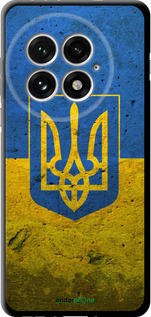 TPU чехол Флаг и герб Украины 2 для OnePlus 13 5G - 378b-3875 изображение 