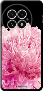 TPU чехол Хризантема для OnePlus 13 5G - 4666b-3875 изображение 