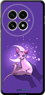 TPU чехол Кот2 для OnePlus 13 5G - 4676b-3875 изображение 