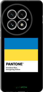 TPU чехол Прапор Пантон для OnePlus 13 5G - 5275b-3875 изображение 