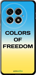 TPU чехол Colors of Freedom для OnePlus 13 5G - 5453b-3875 изображение 