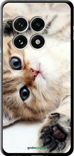 TPU чехол Котик для OnePlus 13 5G - 6024b-3875 изображение 