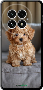 TPU чехол Mini-maltipoo для OnePlus 13 5G - 6158b-3875 изображение 